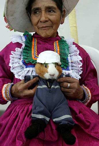 guinea-pig-fest_costume.jpg